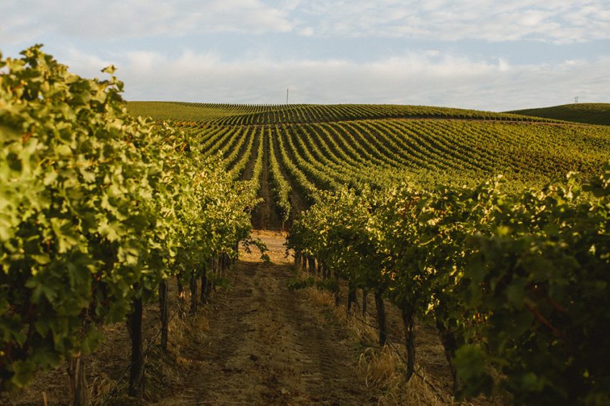 Matthews Winery | Wine Country Travel | Explore Wineries ...